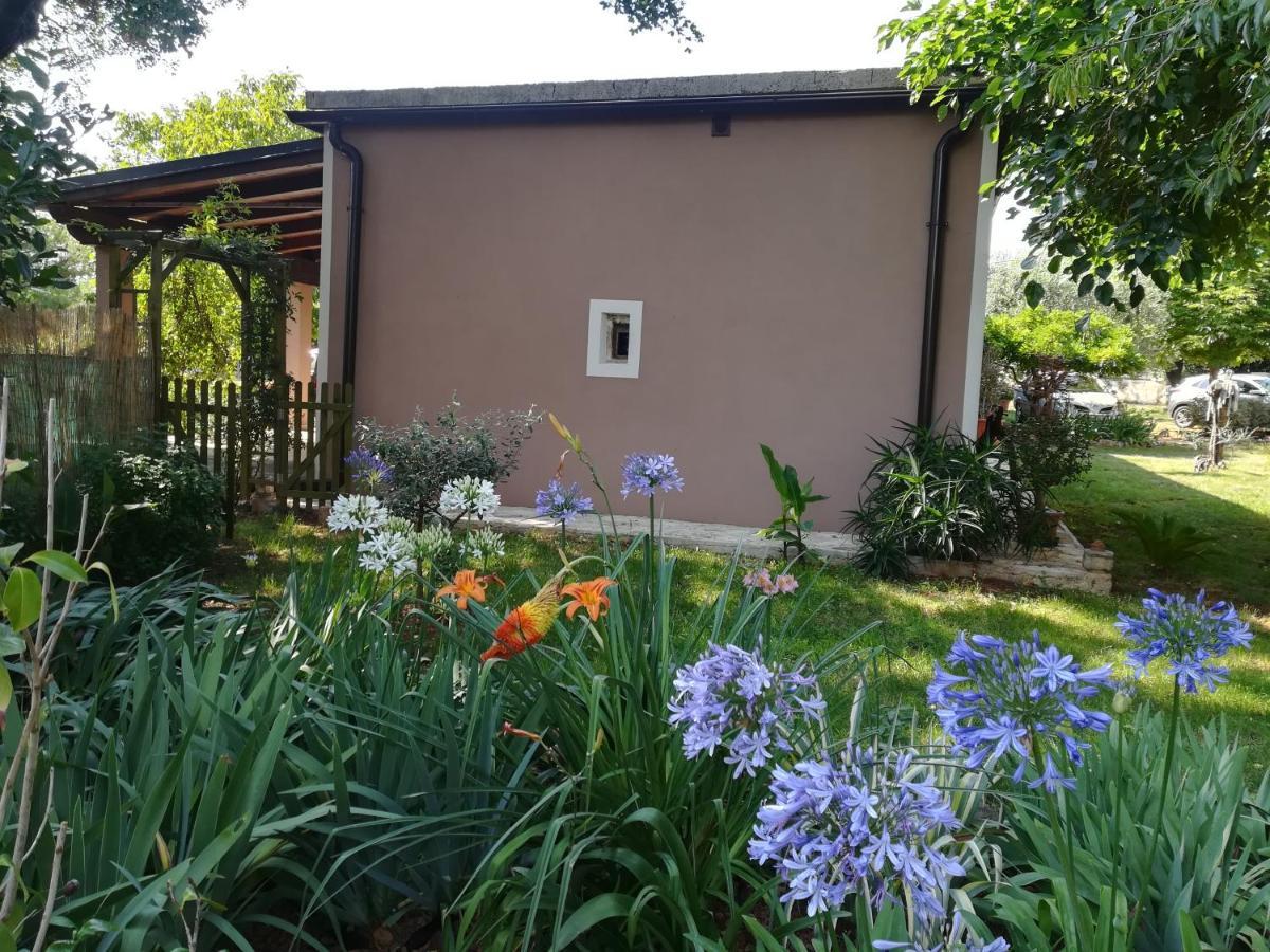 Apartman "Almond House 2" Pula Zewnętrze zdjęcie