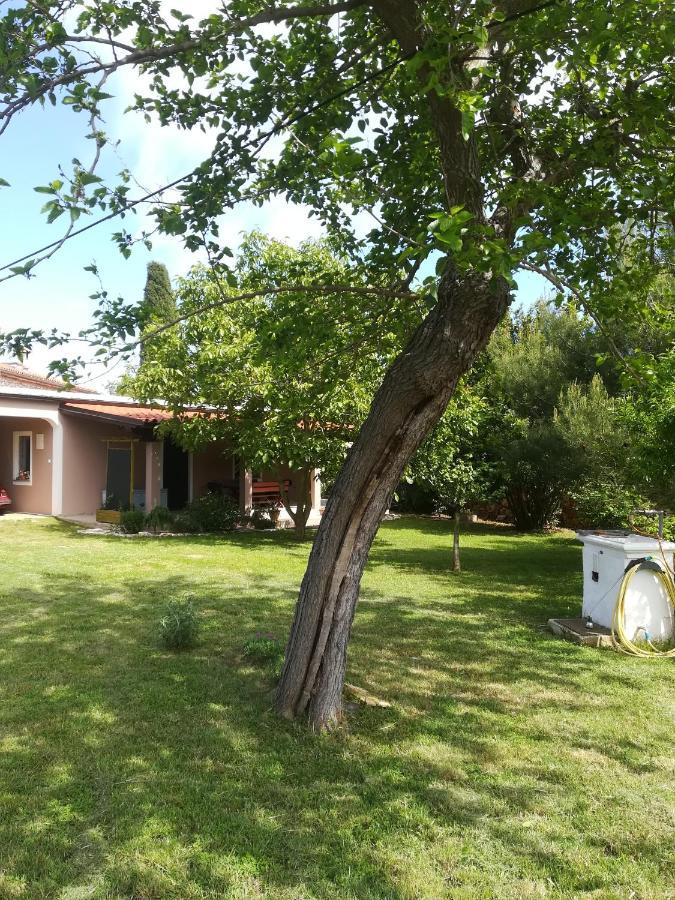 Apartman "Almond House 2" Pula Zewnętrze zdjęcie