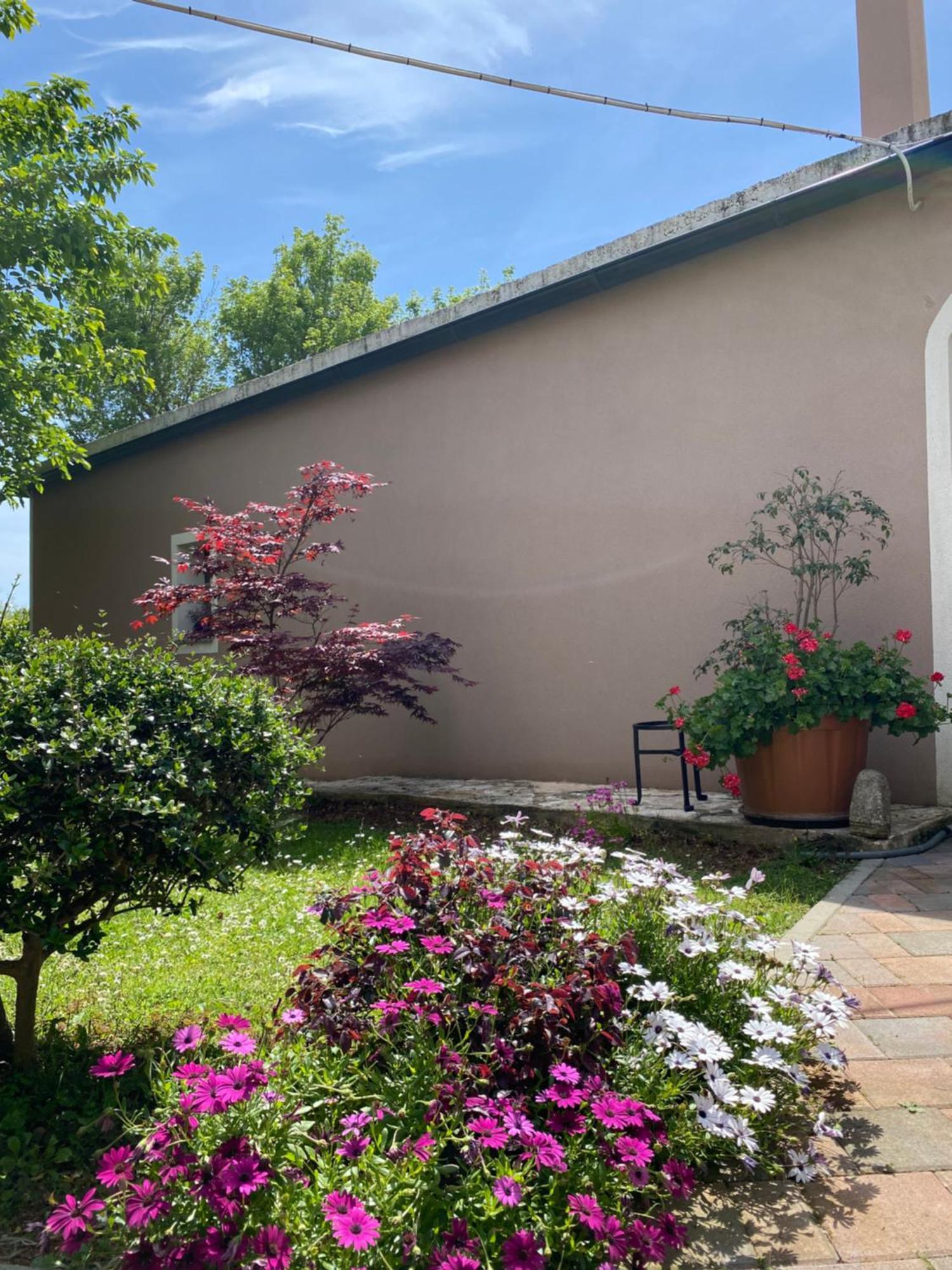 Apartman "Almond House 2" Pula Zewnętrze zdjęcie